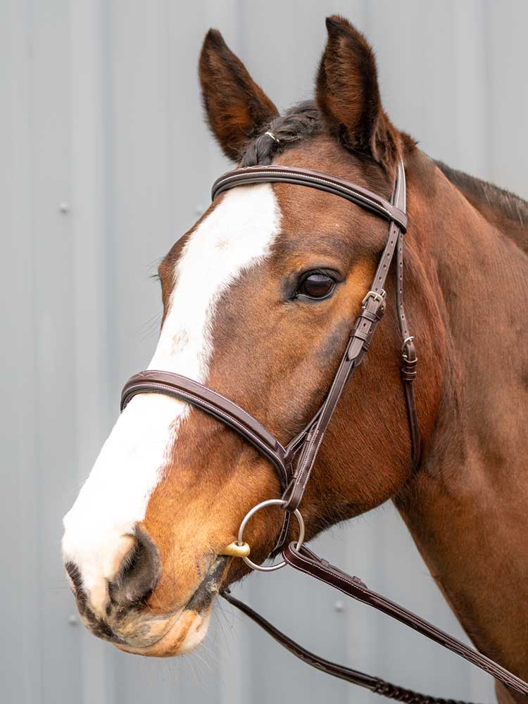 Marco Simone Italian Leather Monocrown Bridle