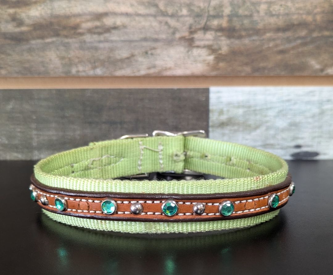 USED Amish Nylon Dog Collar with Green Rhinestones 20" Green