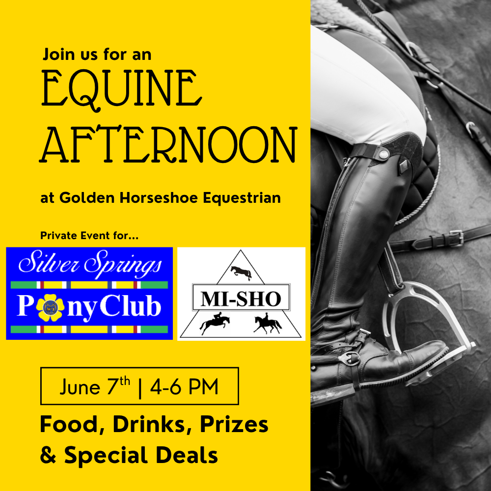 Equine Afternoon at Golden Horseshoe Equestrian