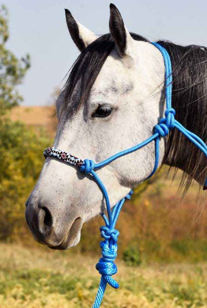 Professional Choice Beaded Rope Halter and  Lead