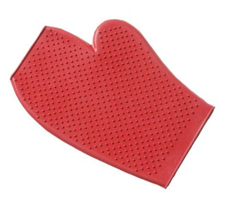 Rubber Grooming Glove