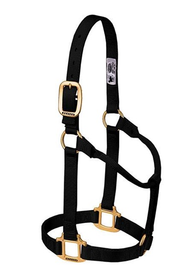 Original Non-Adjustable Halter 1"