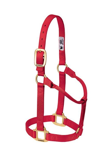 Original Non-Adjustable Halter 1"