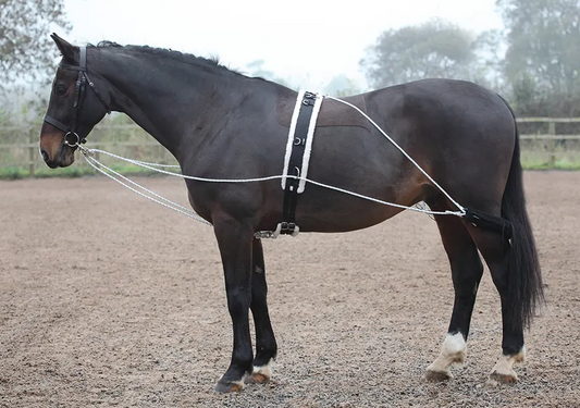 Shires Lunging Aid