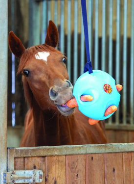 Shires Equestrian Products Carrot Ball Horse Toy, Blue