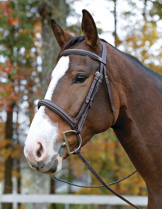 Avignon Ocala Bridle