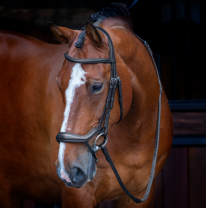 Velociti Ergonomic Flash Bridle - Black & Havanna
