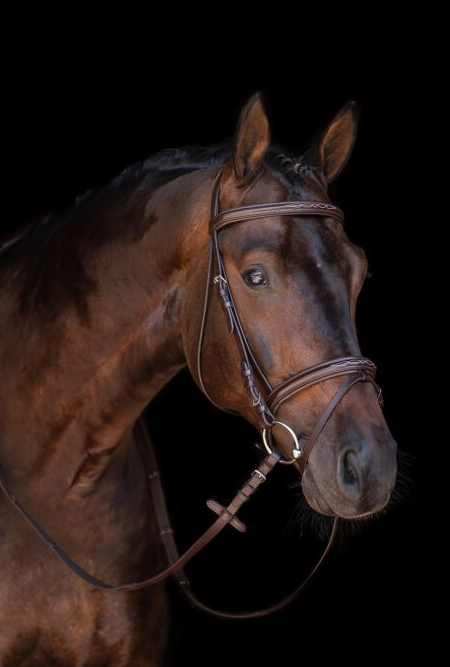 HKM Bridle - "Jana"