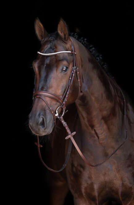 HKM Bridle - "Mia"