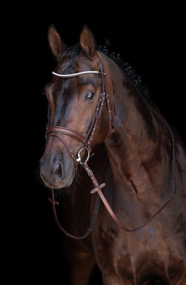 HKM Bridle - "Mia"
