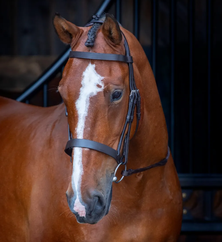 Velociti Hunter Bridle