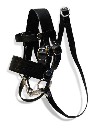 Crafty Ponies English Bridle