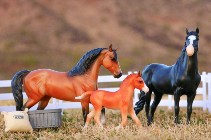 Breyer Spanish Mustang Family