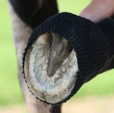 Cavallo Comfort Sleeve