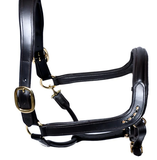 Bridleberry Black Leather Show Halter