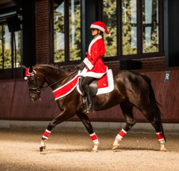 Horze Santa Harness