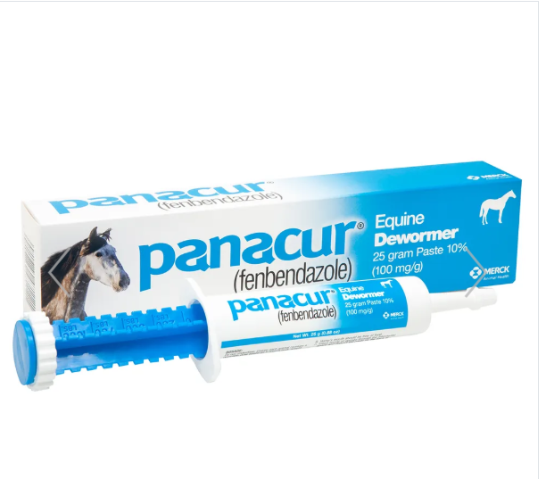 Panacur Horse Dewormer Paste 25gm