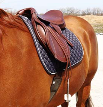 BasEQ Diamond Quilt AP Pad with Piping