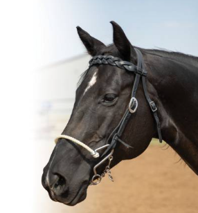 Professional's Choice -  Infinity Braided Browband Headstall