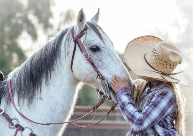 Pony Twist Browband Headstall