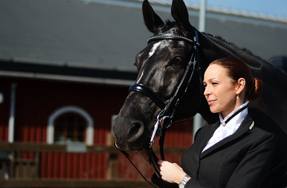 Equestrian Stockholm Riding Stock Black Edition