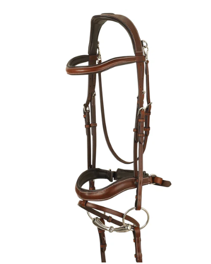 Cambridge Anatomic Bridle