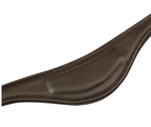 Cambridge Anatomic Bridle