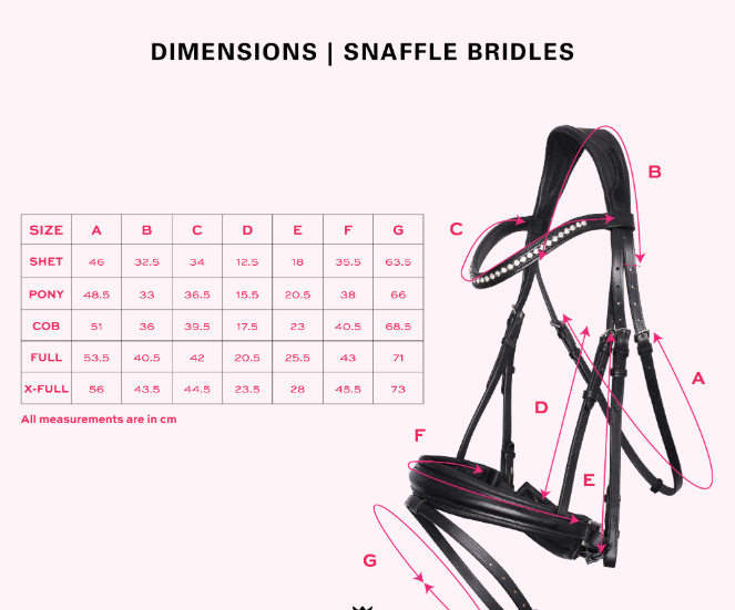 Bridle IRHOlympia