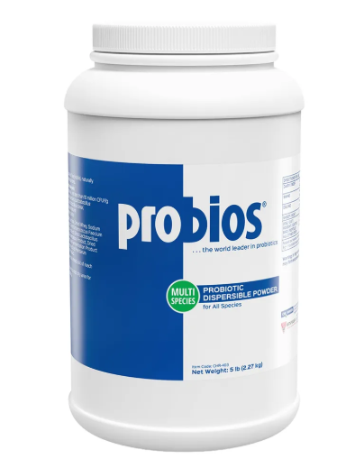 Probios Multi-Species Probiotic Dispersible Powder