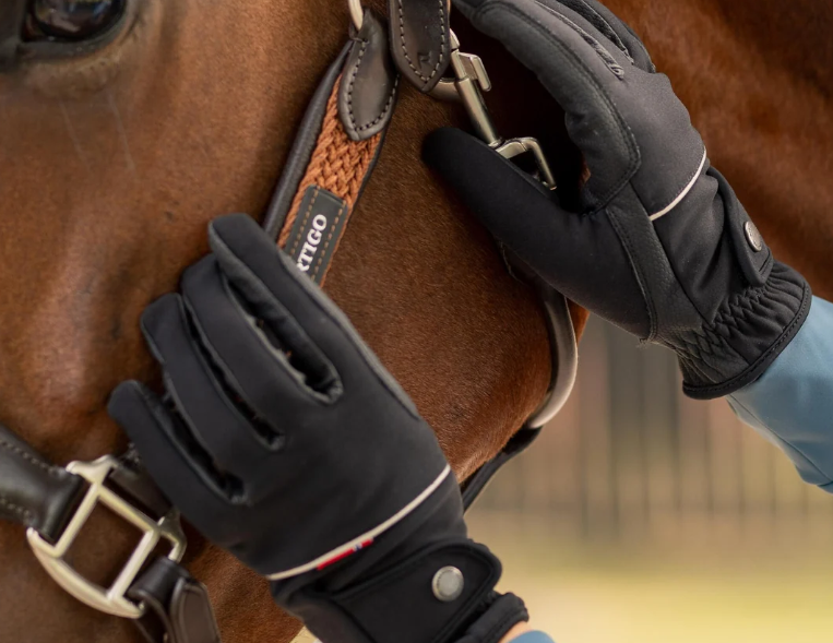 B Vertigo Rahel Thinsulate Winter Riding Gloves - Anthracite