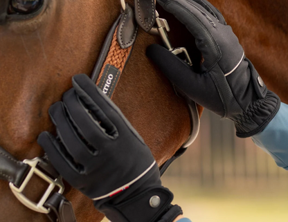 B Vertigo Rahel Thinsulate Winter Riding Gloves - Anthracite