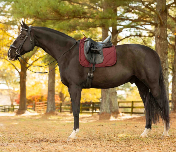 Equinavia Bergen Crystal Dressage Saddle Pad