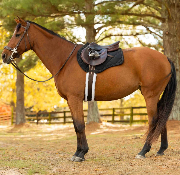 Equinavia Bergen Crystal All Purpose Saddle Pad