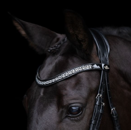 Bridle HVPDiana