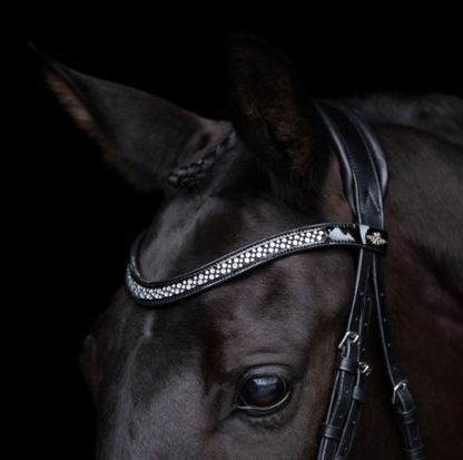 Bridle HVPDiana