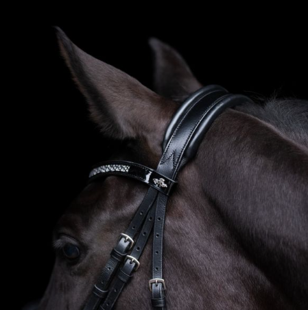 Bridle HVPDiana