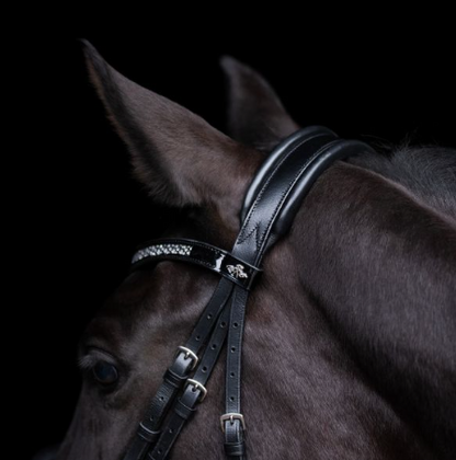 Bridle HVPDiana