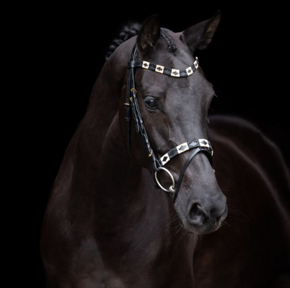 Bridle HVPChaya