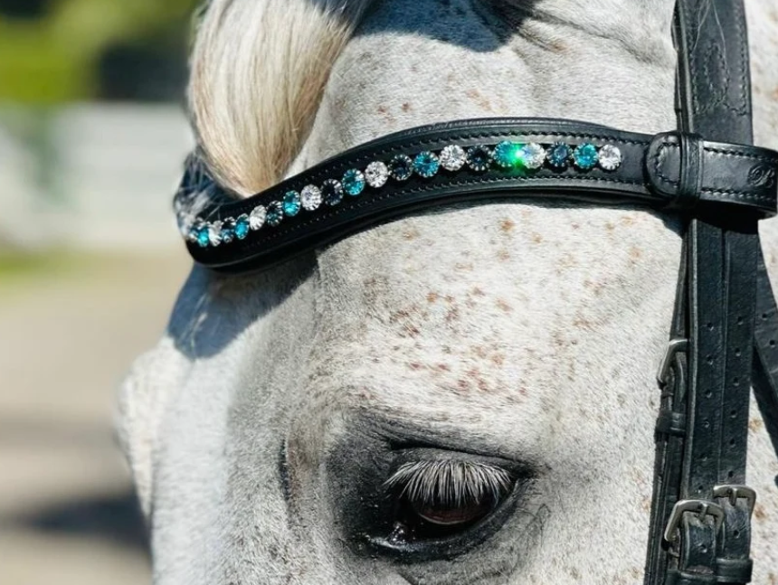 #120 Large Turquoise/Blue/Crystals in Curved Black Leather Browband