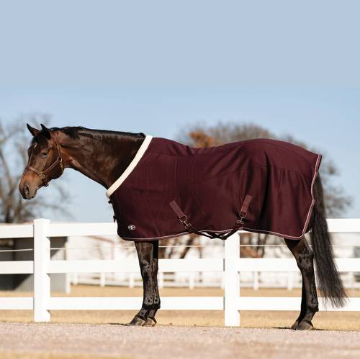 Professional Choice Softshell Cooler - Wine
