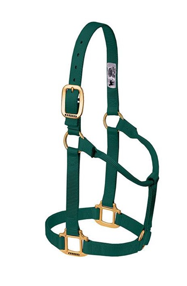 Original Non-Adjustable Halter 1"