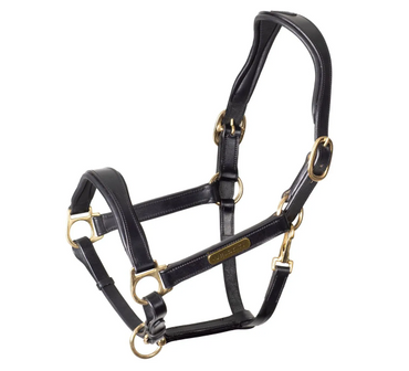 Velociti Rapida Cushioned Leather Headcollar