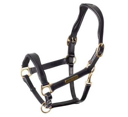Velociti Rapida Cushioned Leather Headcollar