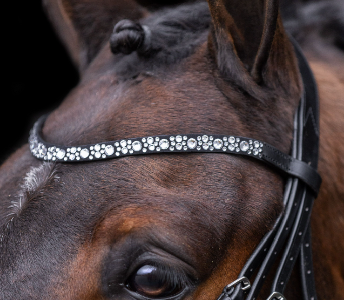 Bridle IRHOlympia