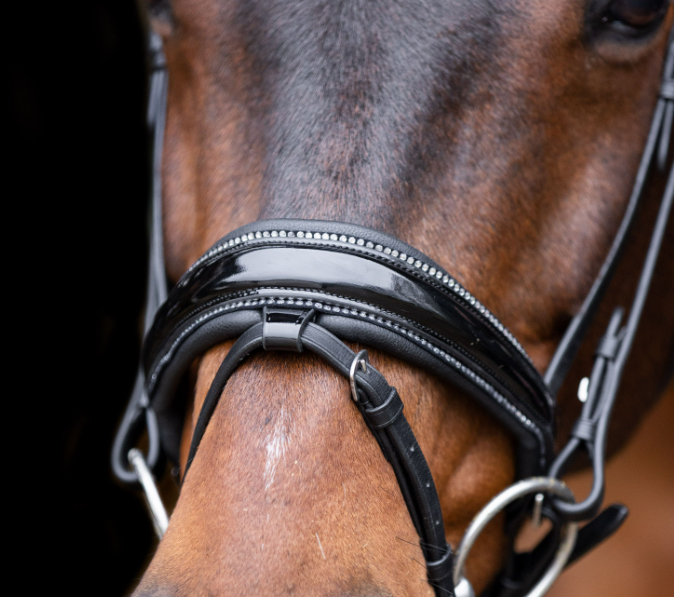 Bridle IRHOlympia