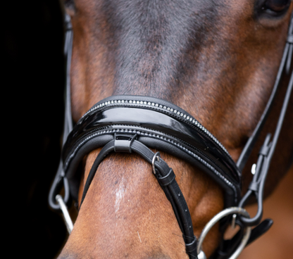 Bridle IRHOlympia