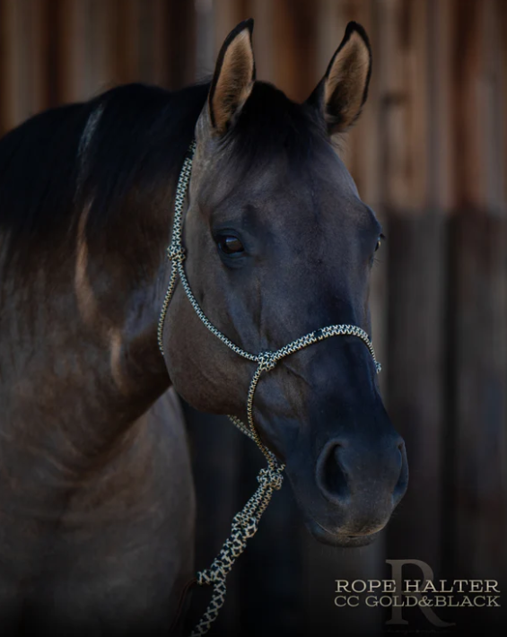 Redemption Rope Halters