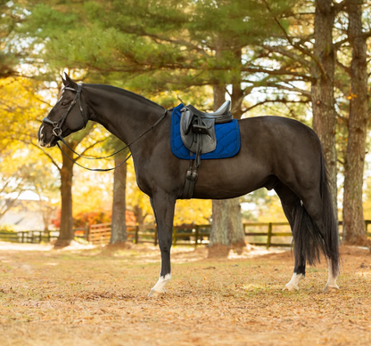 Equinavia Bergen Crystal Dressage Saddle Pad