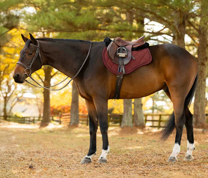 Equinavia Bergen Crystal All Purpose Saddle Pad