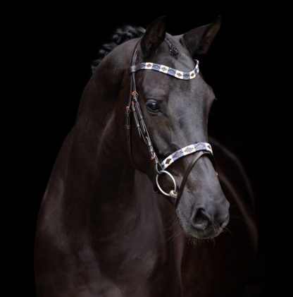 Bridle HVPChaya